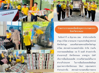 ร่วมกันกระจายผลผลิตมังคุด 100 ปี มาตรฐาน GAP พารามิเตอร์รูปภาพ 12